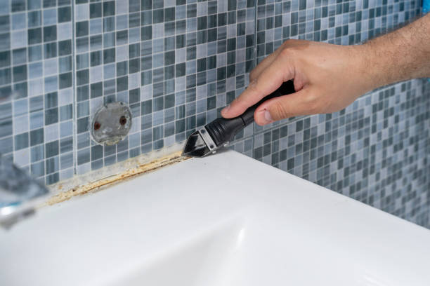 Best Best Mold Removal Companies  in North Shore, CA